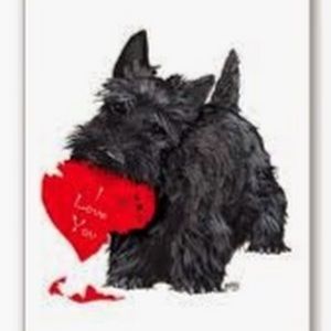 Meet your Posher, Mary